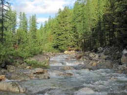 ���� �����, �����, 4 ���� 2011