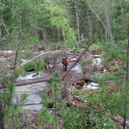 ������� ����, �����, 7 ���� 2011