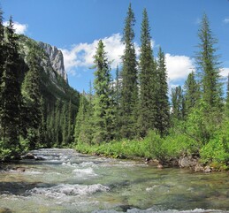 �����, 11 ���� 2011