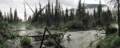 �������� ���� �����, �����, 15 ���� 2011