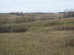 �����������, 5 ������ 2011