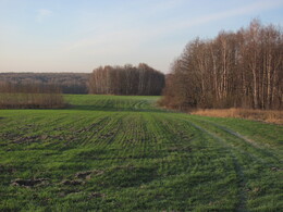 �����������, 6 ������ 2011