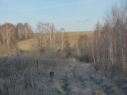 �����������, 6 ������ 2011