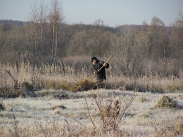 �����������, 6 ������ 2011