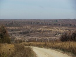 �����������, 6 ������ 2011