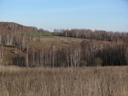 �����������, 6 ������ 2011