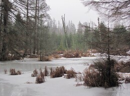 �����������, 26 ������ 2011