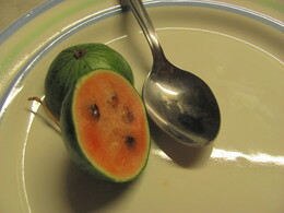 �����, �������� � ��� �� ���� � �����������, 15 ������� 2011