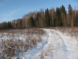 �����������, 31 ������� 2011