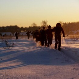 �����������, 28 ������ 2012