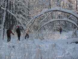 �����������, 28 ������ 2012