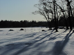 ���������, 11 ����� 2012