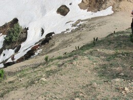 ���������� ������, �����������, 21 ������ 2012