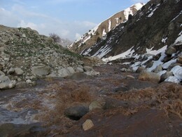 ���������� ������, �����������, 21 ������ 2012