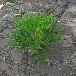 ���������� ������, �����������, 24 ������ 2012