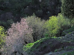 ���������� ������, �����������, 24 ������ 2012