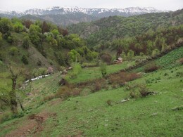 ���������� ������, �����������, 25 ������ 2012