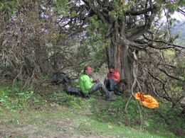 ���������� ������, �����������, 25 ������ 2012