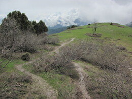 ���������� ������, �����������, 25 ������ 2012