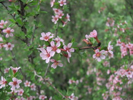 ���������� ������, �����������, 26 ������ 2012