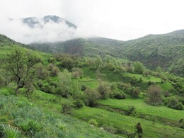 ���������� ������, �����������, 26 ������ 2012