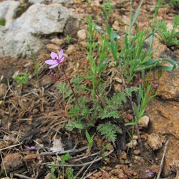 ���������� ������, �����������, 26 ������ 2012