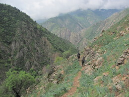 ���������� ������, �����������, 26 ������ 2012