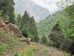 ���������� ������, �����������, 26 ������ 2012