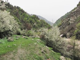 ������ ���� �������, ���������� ������, �����������, 27 ������ 2012