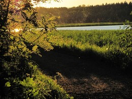 �����, ���������, 21 ���� 2012