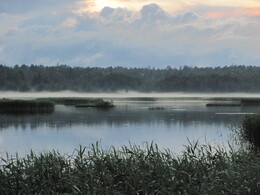 �����, ���������, 25 ���� 2012