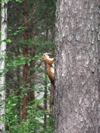 �����, ���������, 30 ���� 2012