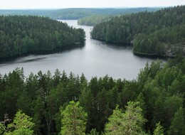 ���� ��������, ���������, 8 ���� 2012