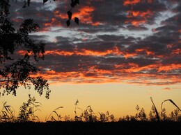 ����� � �����, ���������, 29 ������� 2012