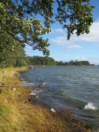 ���� � �����, ���������, 15 �������� 2012