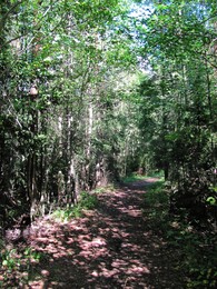 ���������, 25 ������� 2012