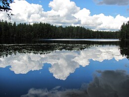 ���������, 25 ������� 2012