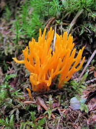 ���������, 25 ������� 2012