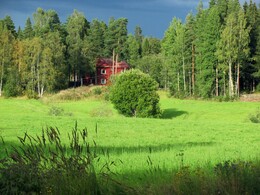 ���������, 25 ������� 2012