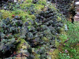 ���������, ���������, 16 �������� 2012