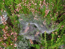 �������, ���������, 16 �������� 2012