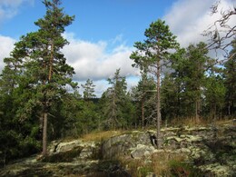 ���������, 16 �������� 2012