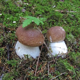 ����� �����, ���������, 16 �������� 2012