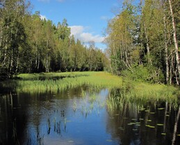 ���������, 16 �������� 2012