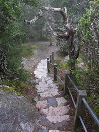 ���� ����, ���������, 5 ������� 2012