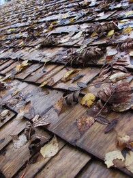 ���� ����, ���������, 5 ������� 2012