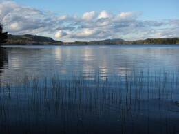 ���� ����, ���������, 6 ������� 2012