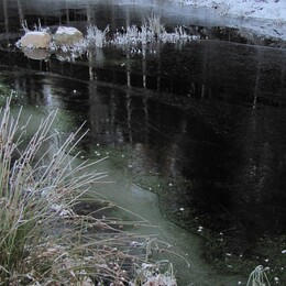 ���������, 27 ������� 2012