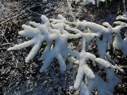 ���������, 27 ������� 2012