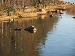 �����, ���������, 28 ������� 2012